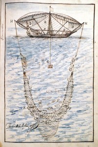 pedro_ledesma_pesca_perlas_busca_galeones